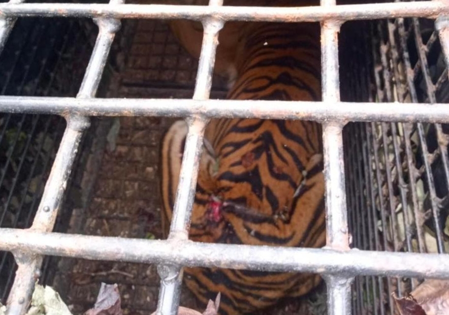 Published from Blogger Prime Android App