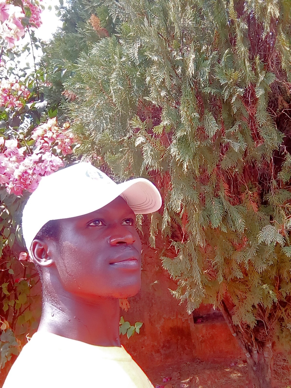 Published from Blogger Prime Android App