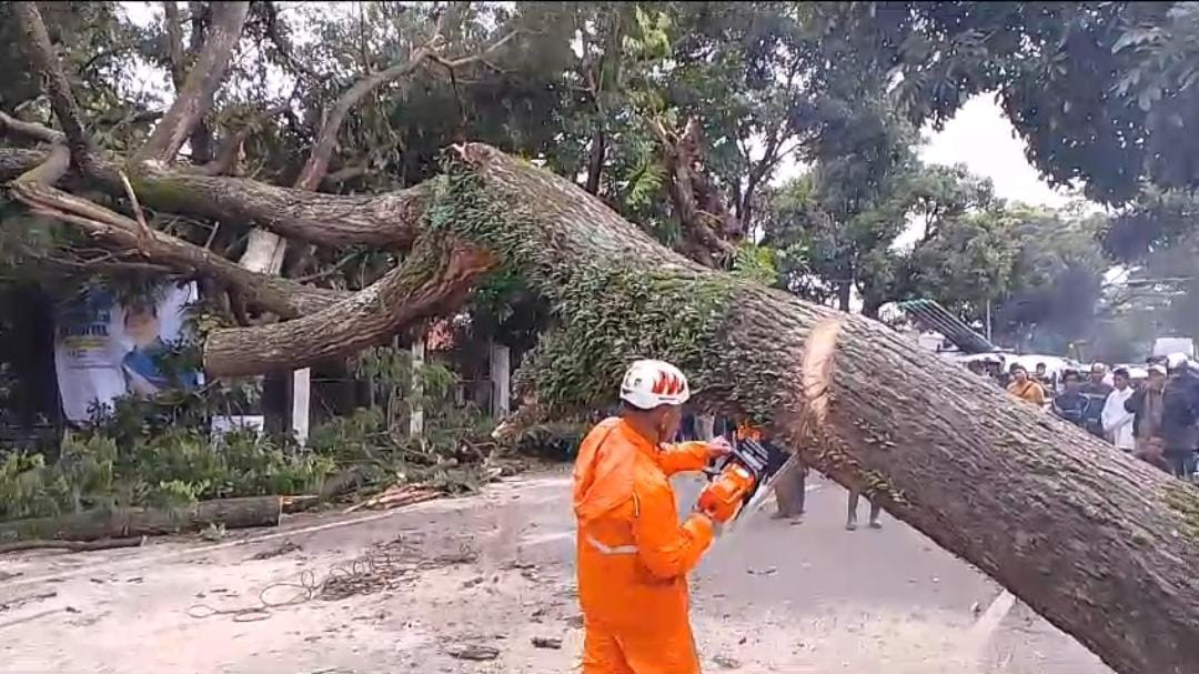 Published from Blogger Prime Android App