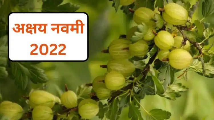 Published from Blogger Prime Android App