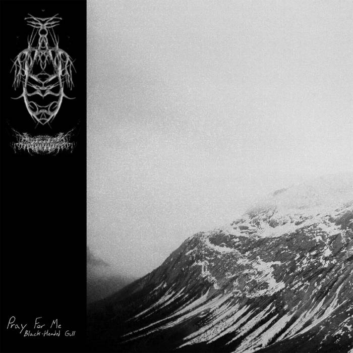 Published from Blogger Prime Android App