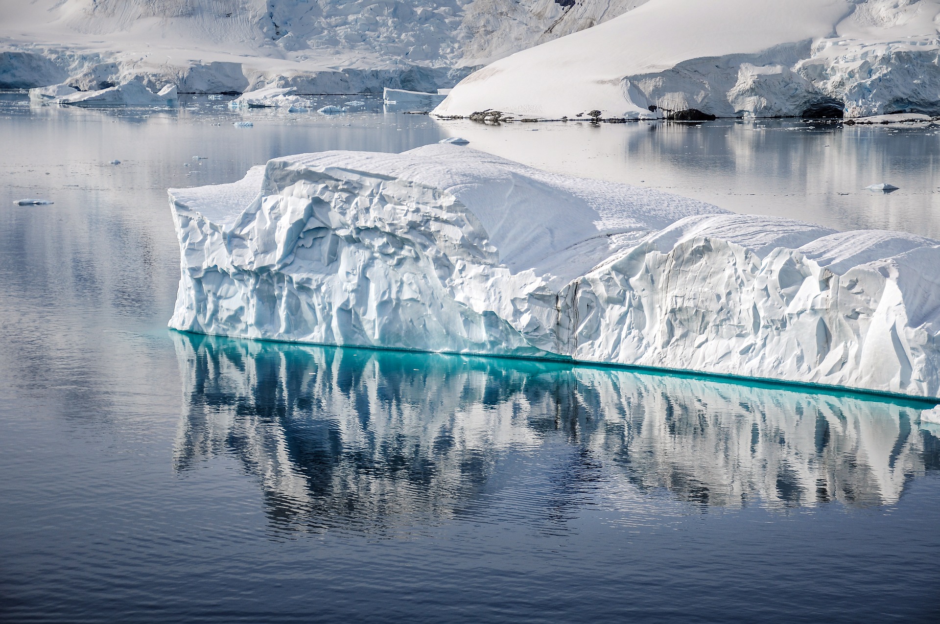 Aerial view of Antarctica is turning green, showcasing the increasing vegetation growth caused by climate change and rising temperatures affecting polar ecosystems.