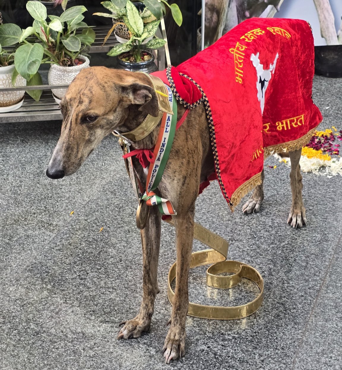 Published from Blogger Prime Android App