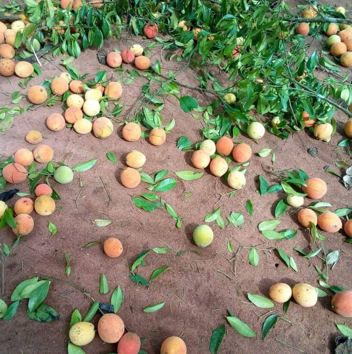 Published from Blogger Prime Android App