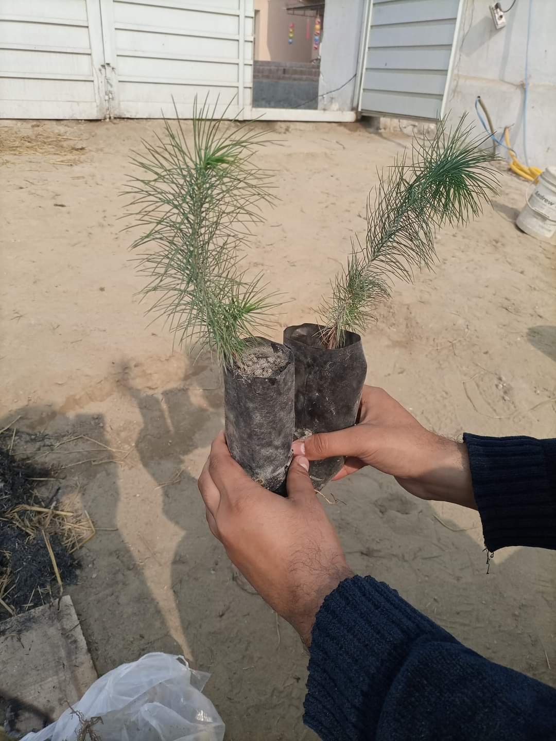Published from Blogger Prime Android App