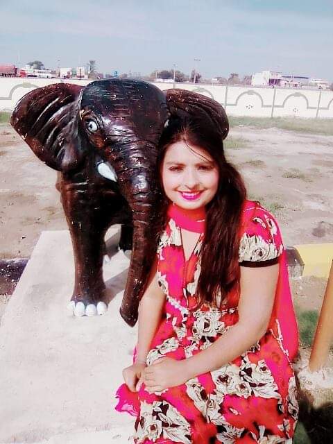 Published from Blogger Prime Android App
