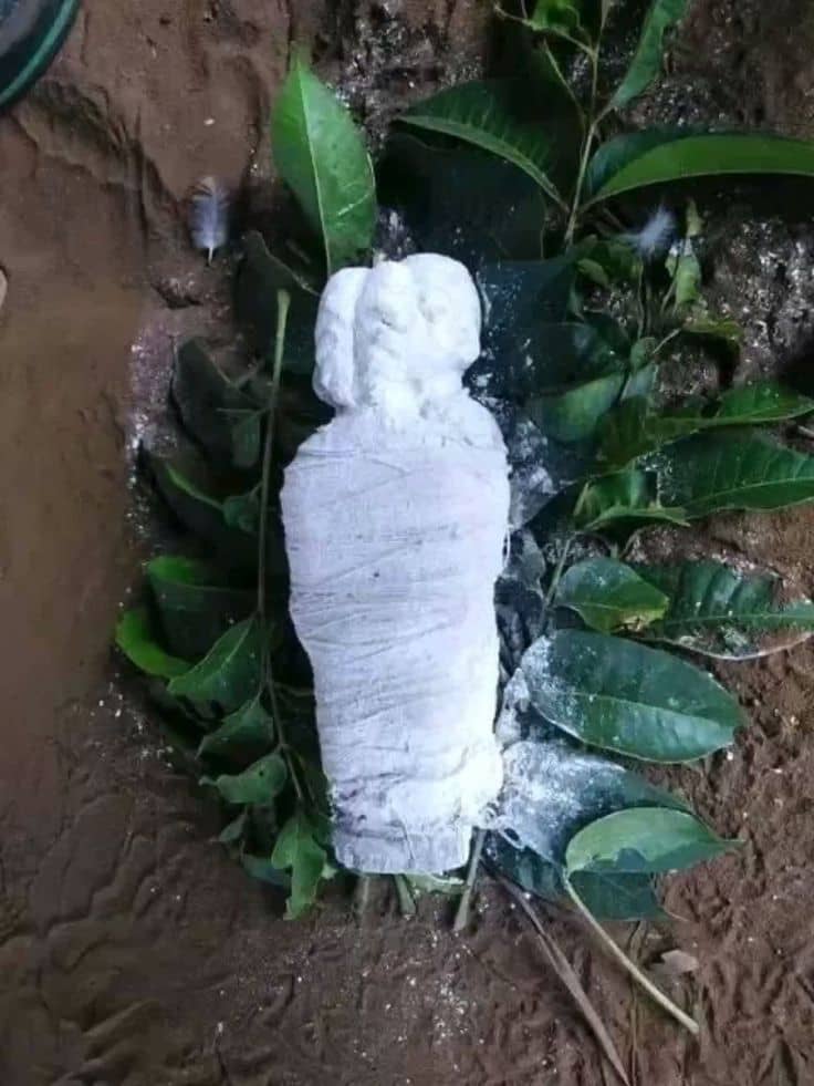 Published from Blogger Prime Android App