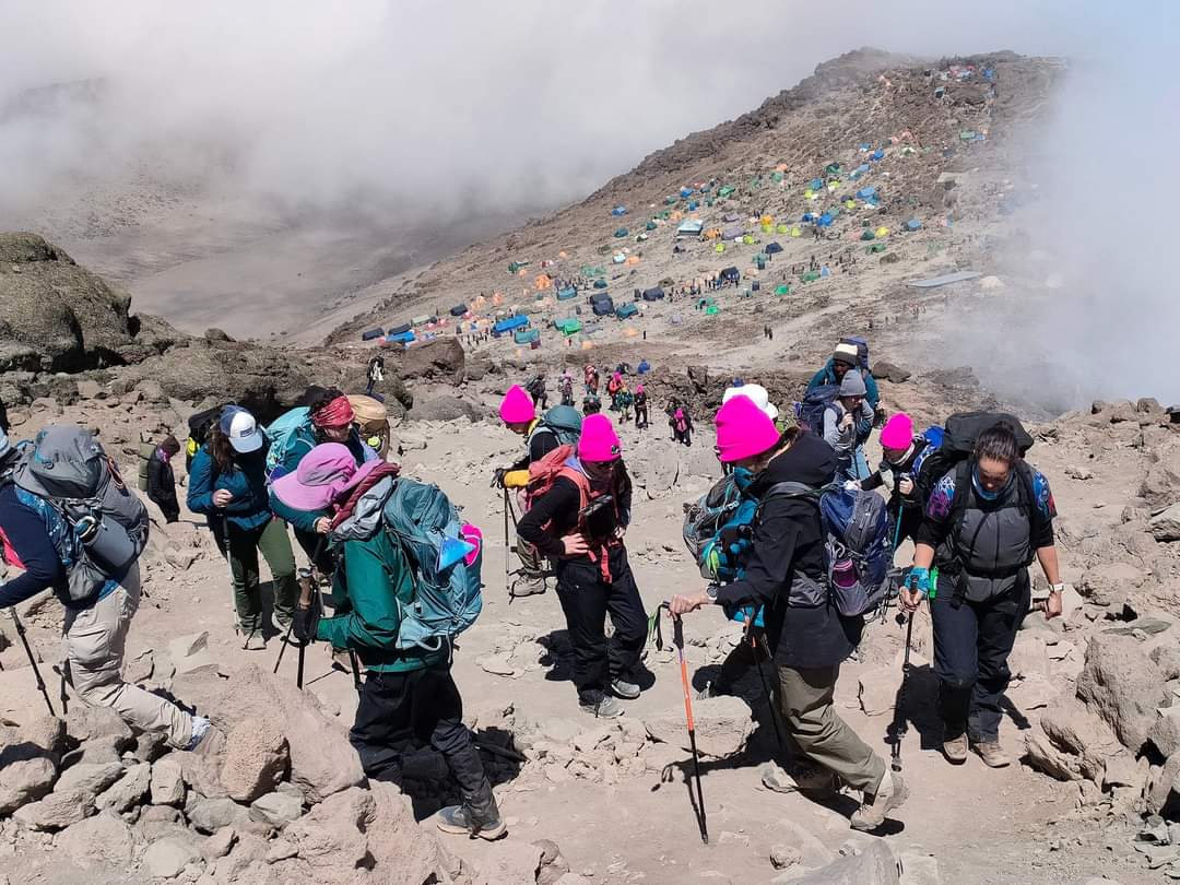 Published from Blogger Prime Android App