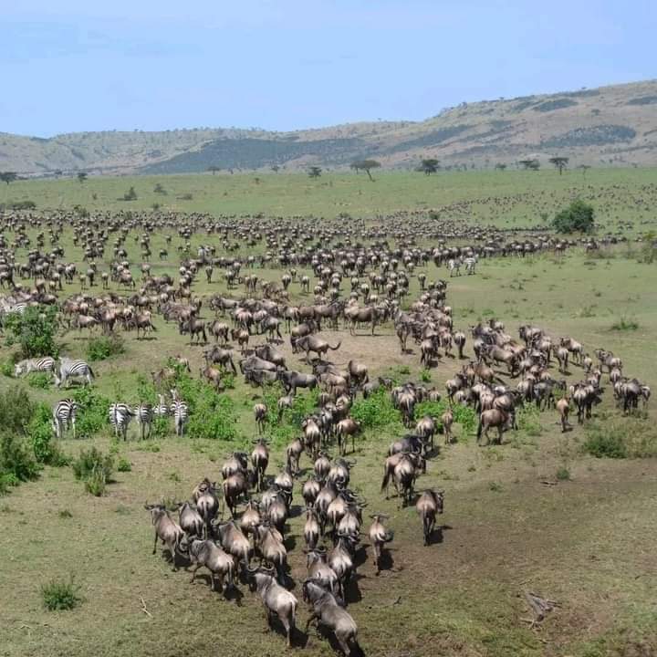 Published from Blogger Prime Android App