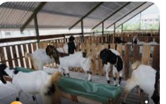 Published from Blogger Prime Android App