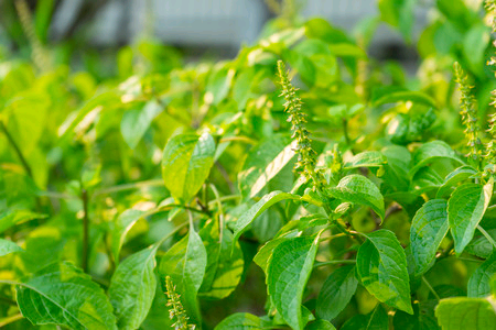 Published from Blogger Prime Android App