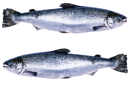 Published from Blogger Prime Android App