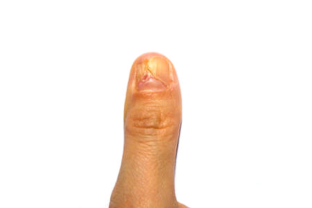 Published from Blogger Prime Android App