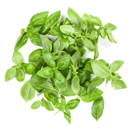 Published from Blogger Prime Android App