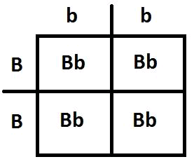 Published from Blogger Prime Android App