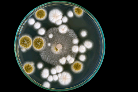 Published from Blogger Prime Android App