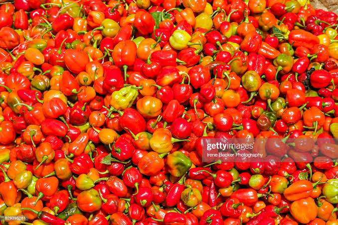 Published from Blogger Prime Android App