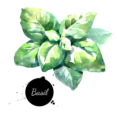 Published from Blogger Prime Android App