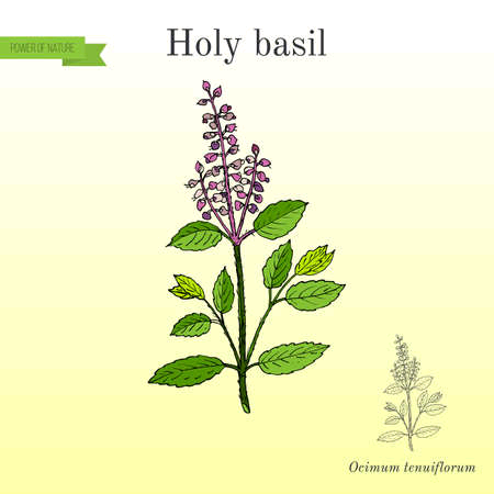 Published from Blogger Prime Android App