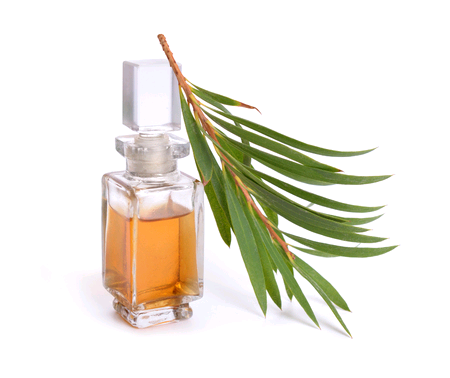 Published from Blogger Prime Android App