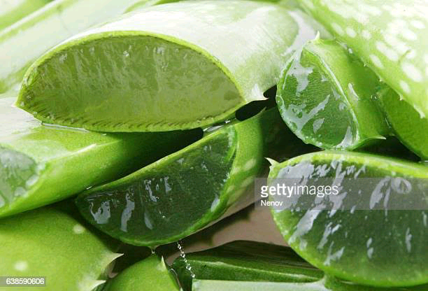 Published from Blogger Prime Android App