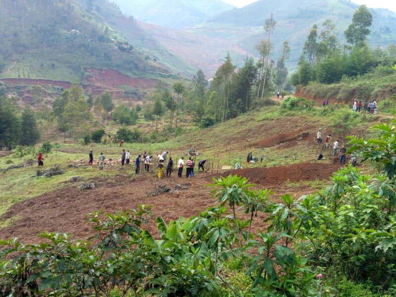 Published from Blogger Prime Android App