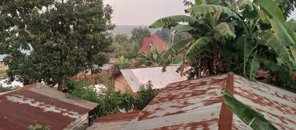 Published from Blogger Prime Android App