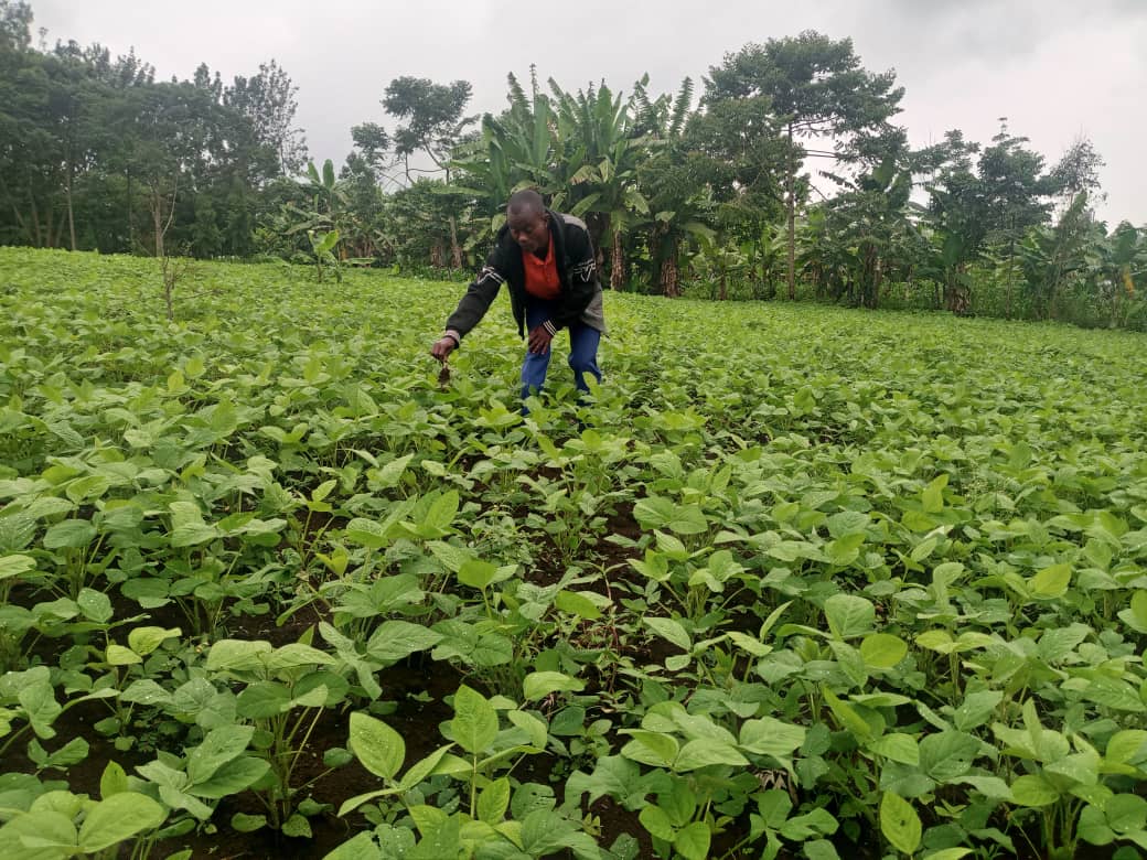 Published from Blogger Prime Android App