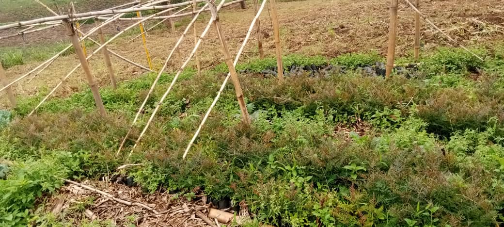 Published from Blogger Prime Android App