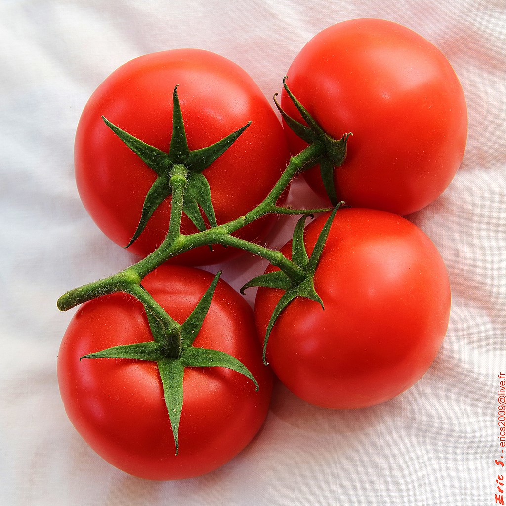 Published from Blogger Prime Android App