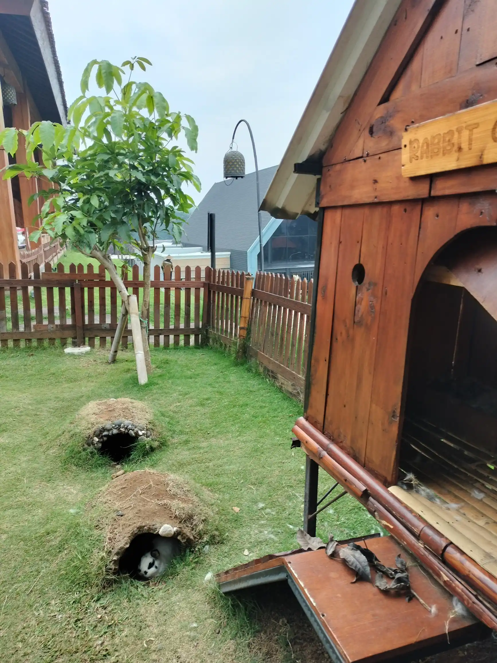 Published from Blogger Prime Android App