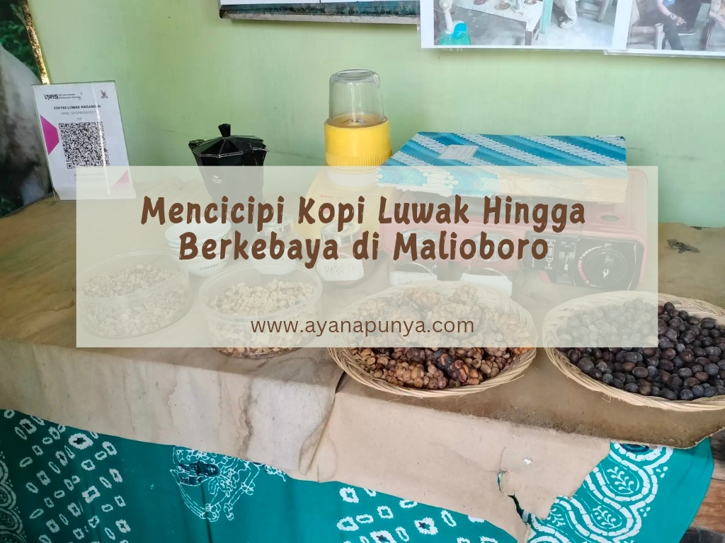 kopi luwak keraton