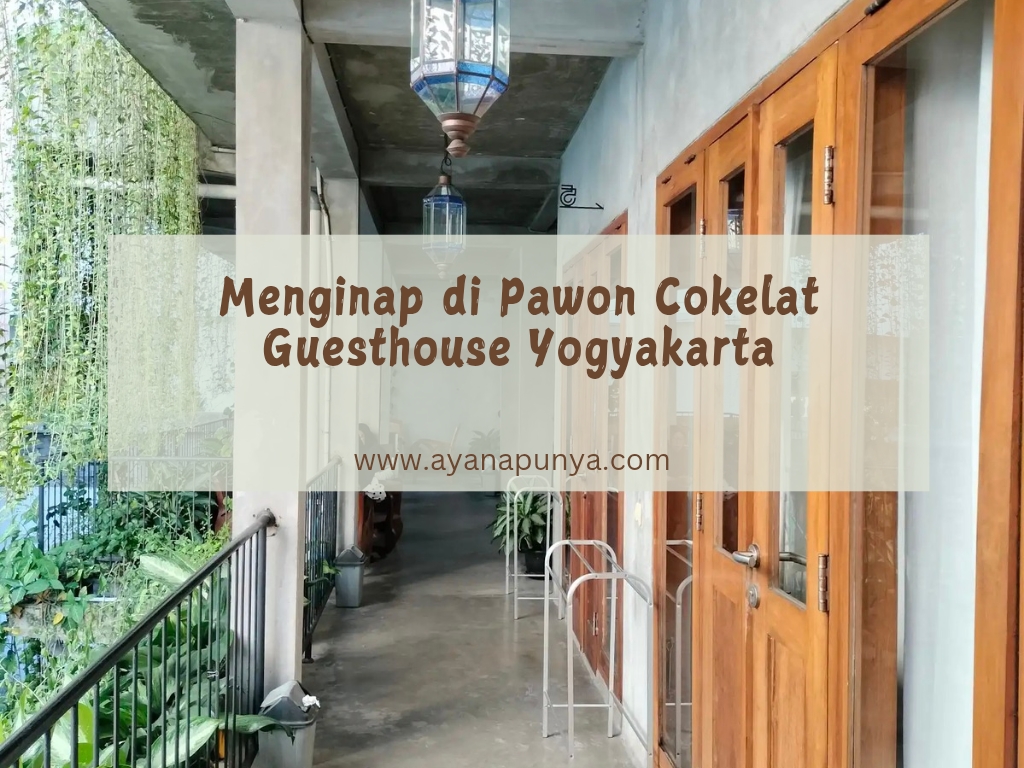 review pawon cokelat guesthouse yogyakarta
