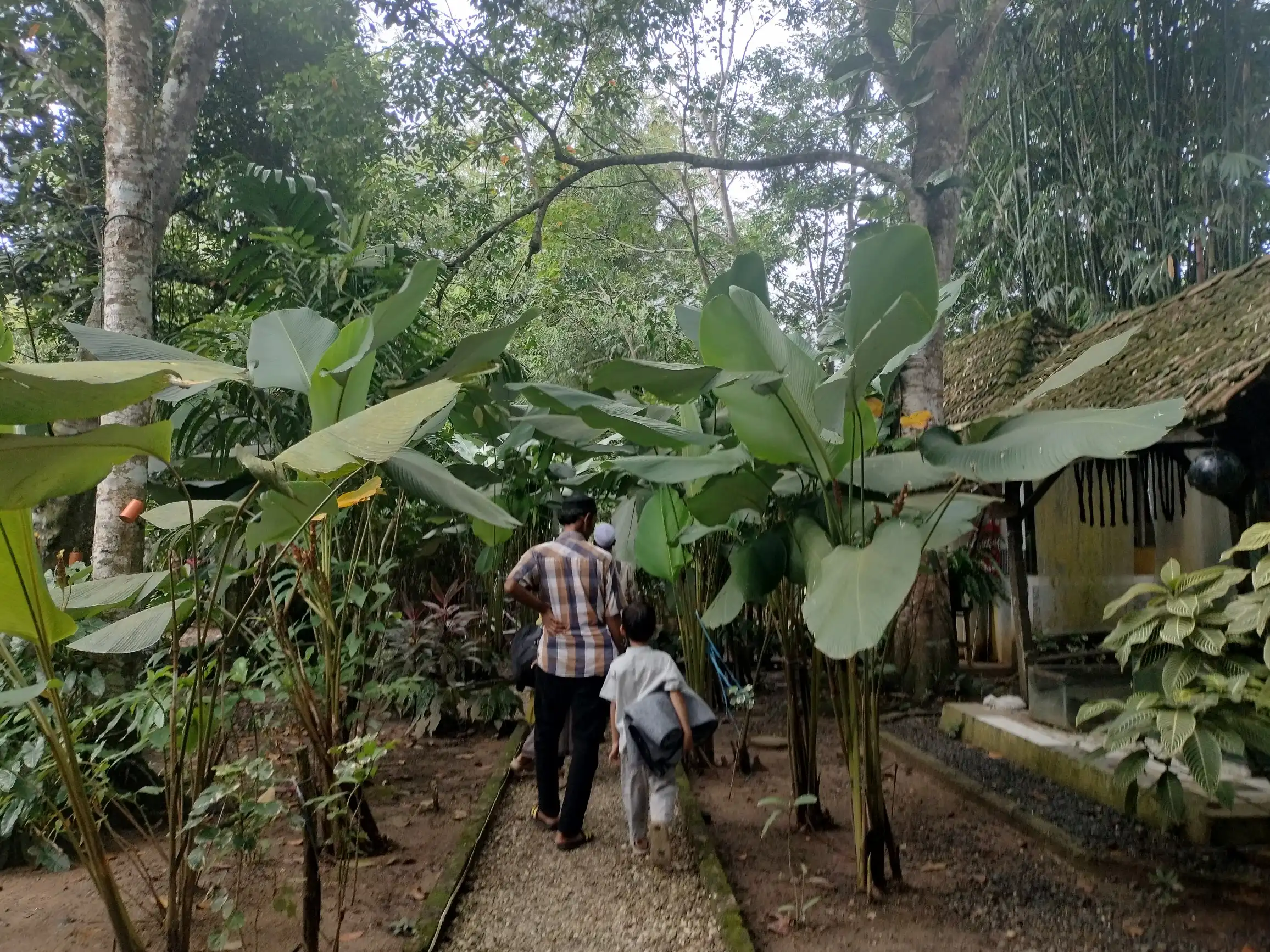 suasana dalam bangkal forest banjarbaru