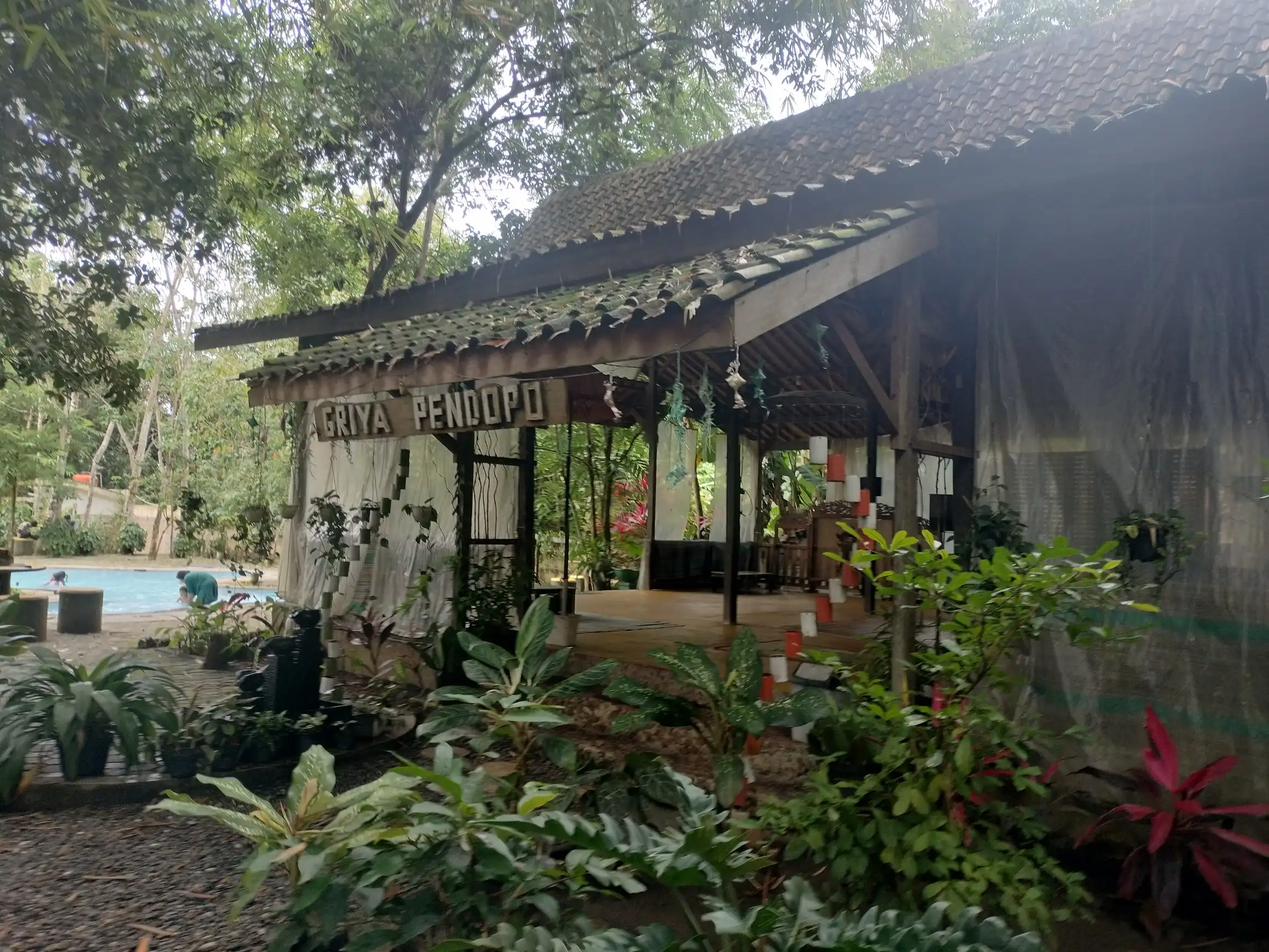 pendopo di bangkal forest