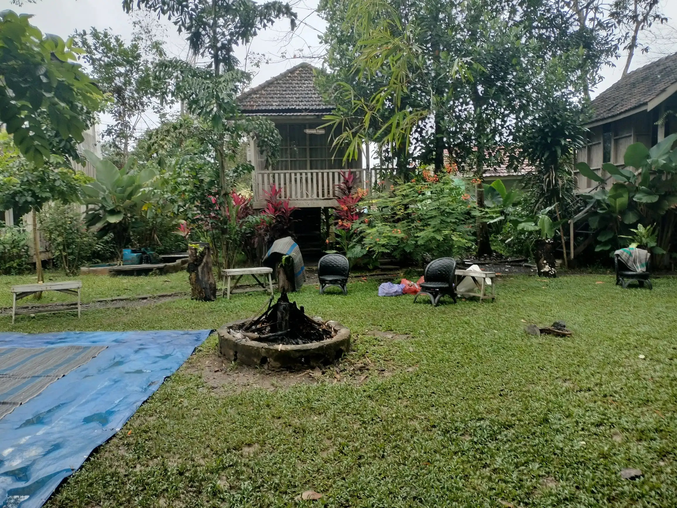 bangkal forest banjarbaru