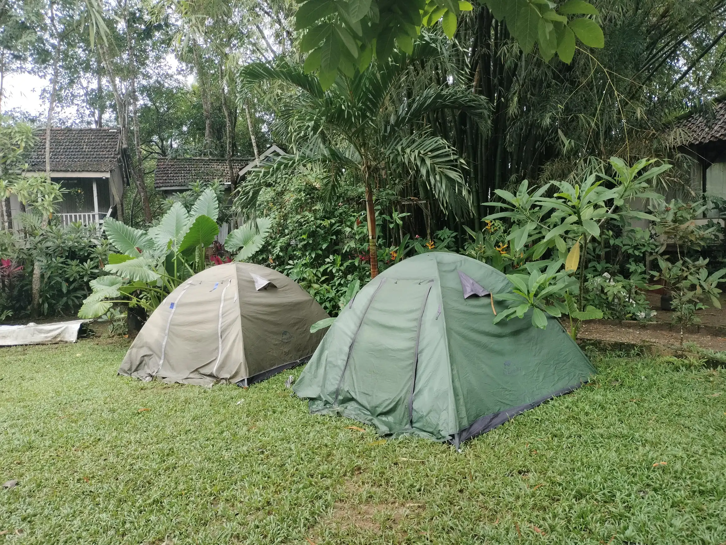 tenda di bangkal forest