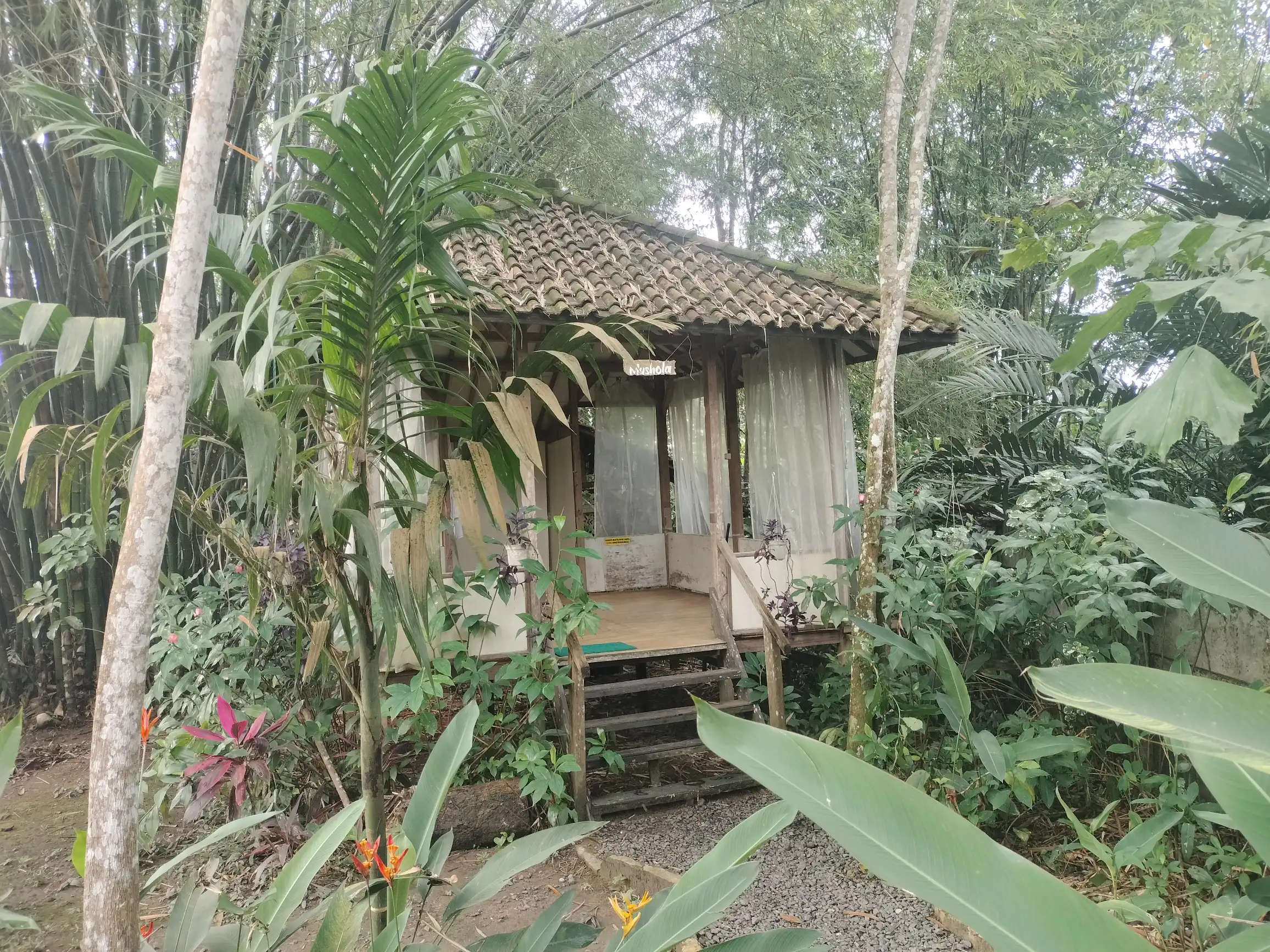 musholla di bangkal forest