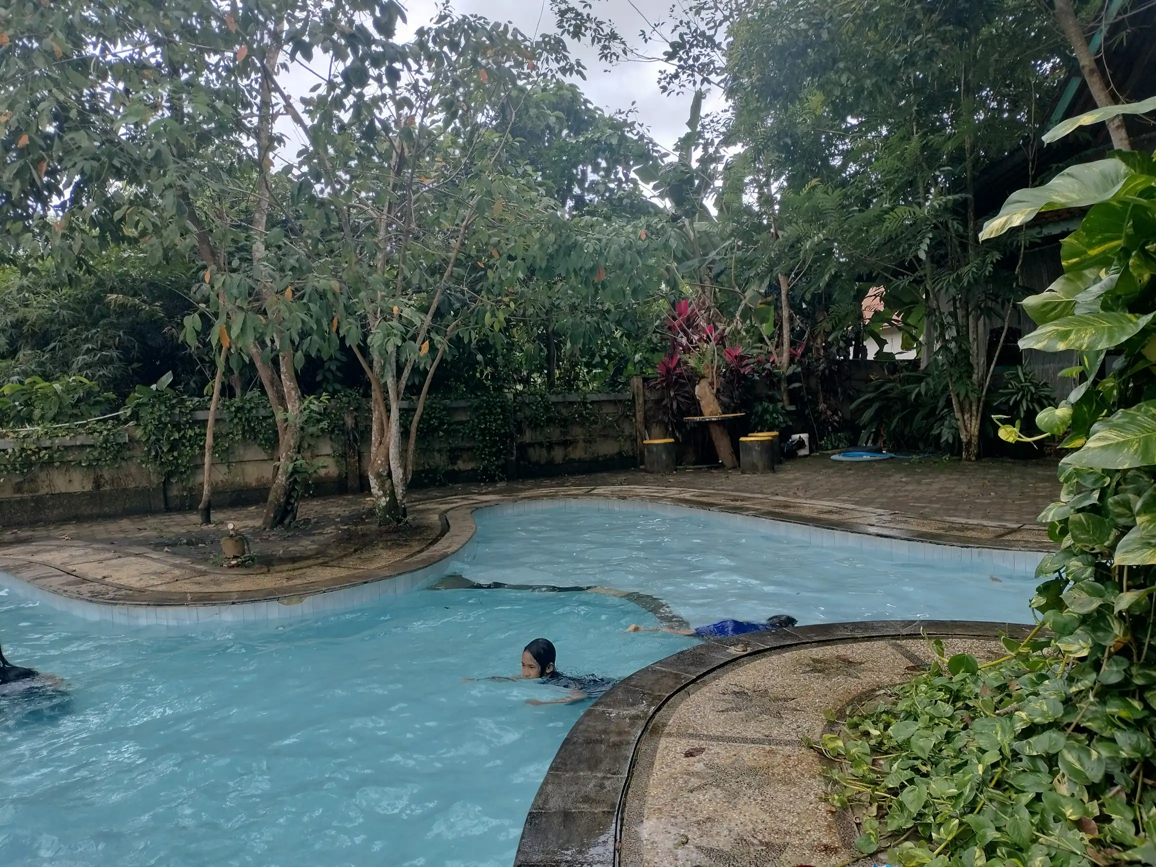 kolam renang di bangkal forest