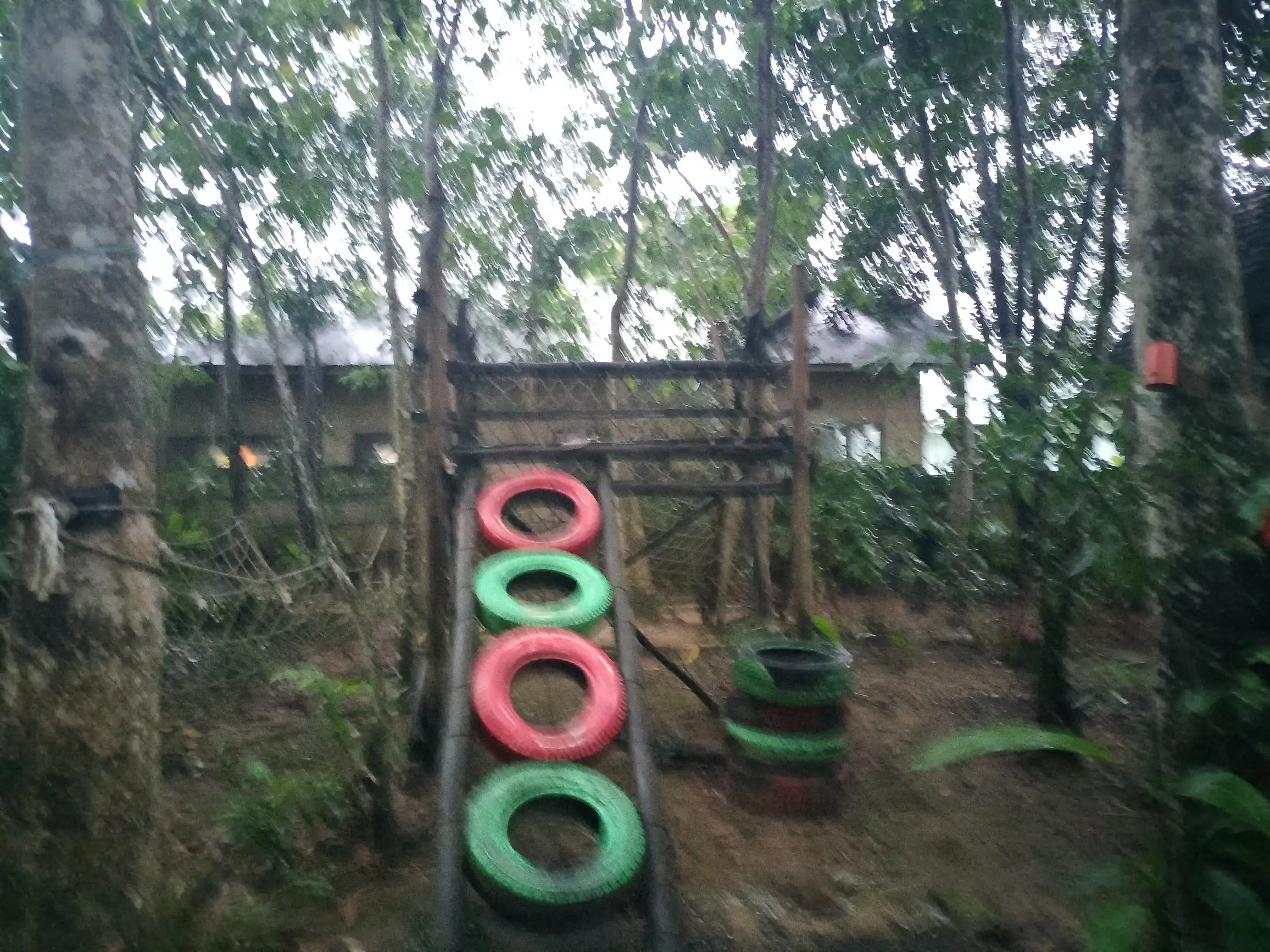 area bermain di bangkal forest