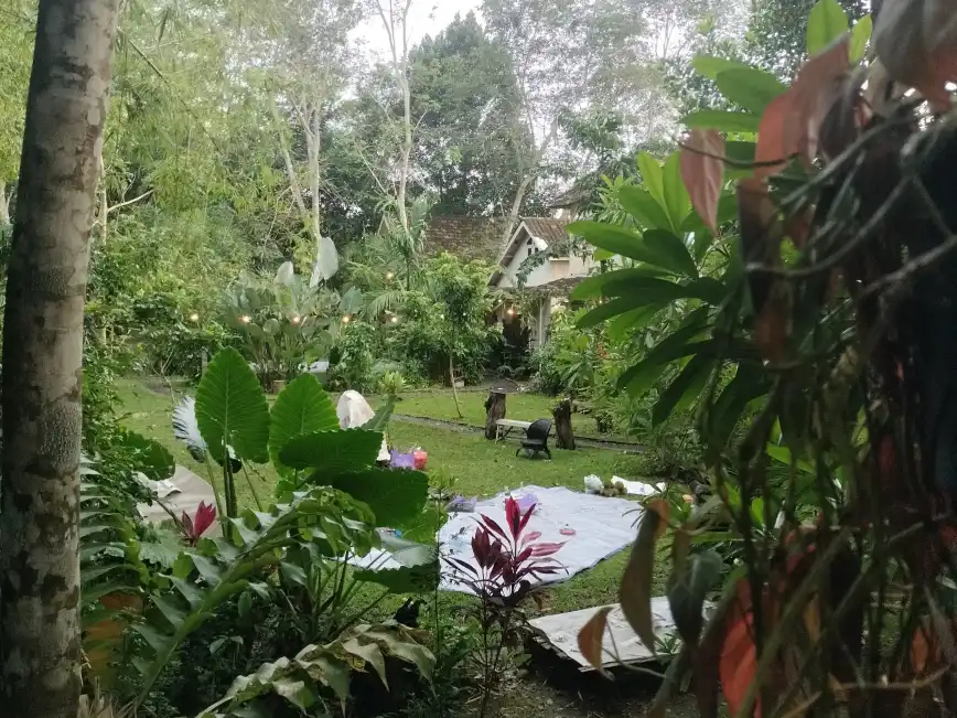 area camping bangkal forest