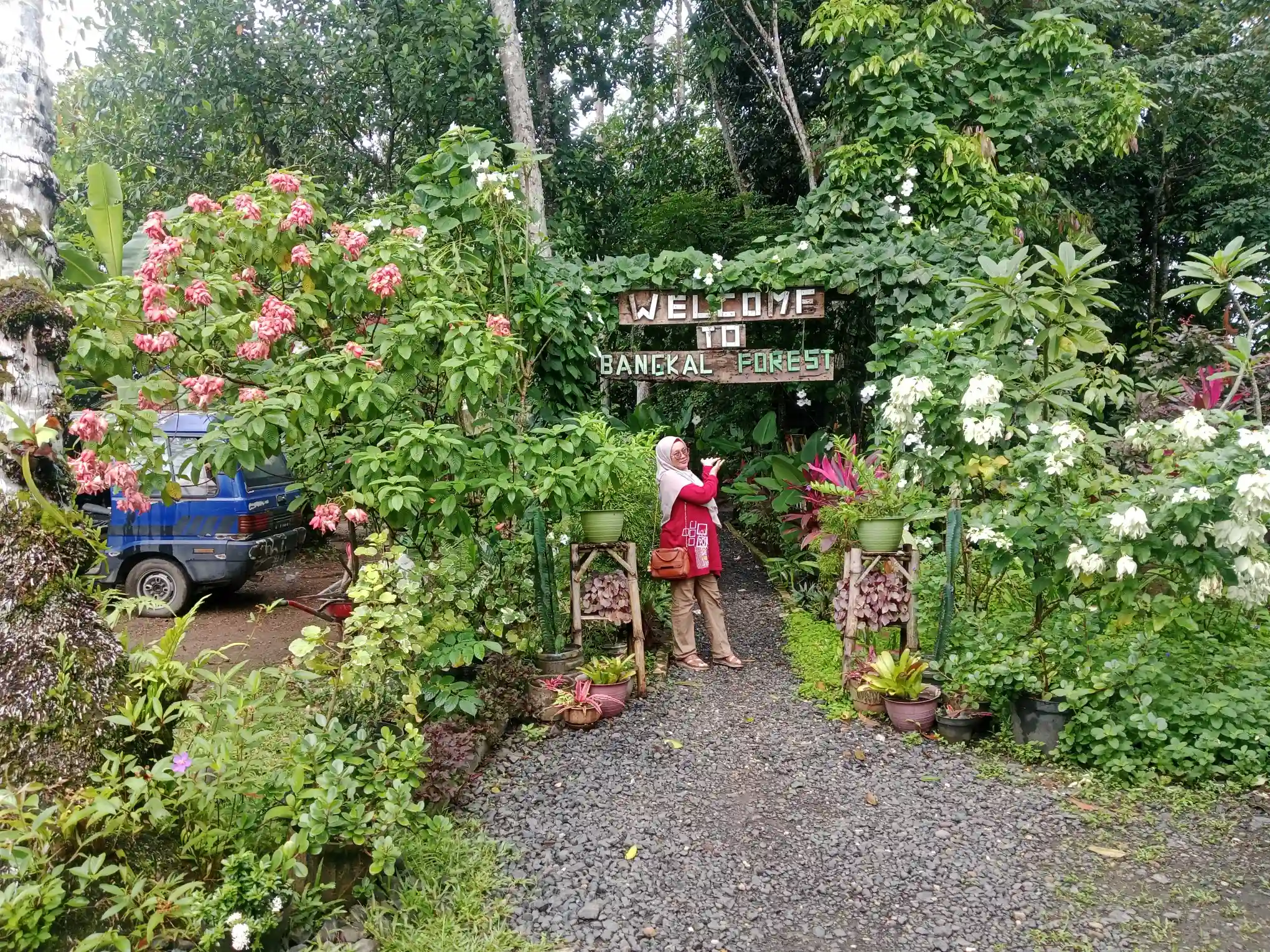 bangkal forest banjarbaru