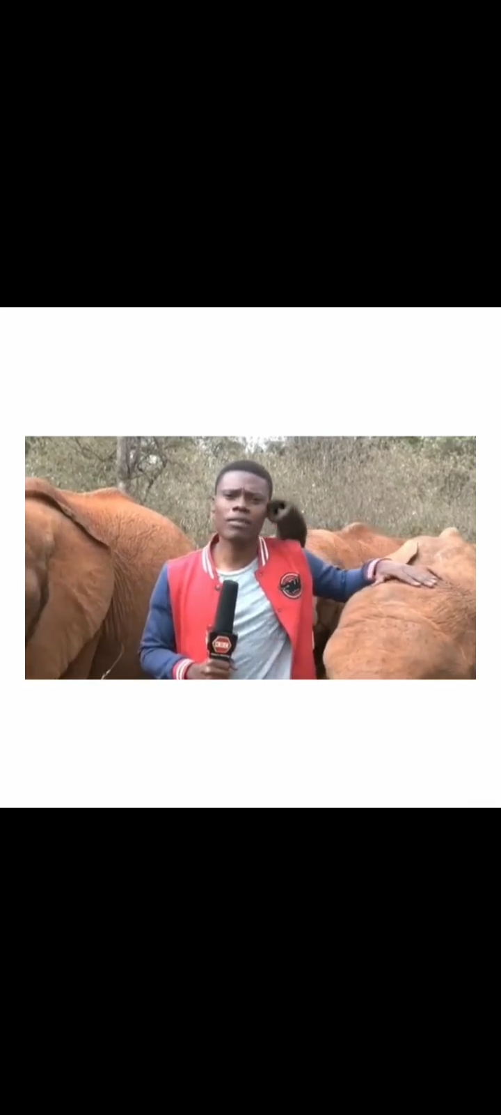 Published from Blogger Prime Android App