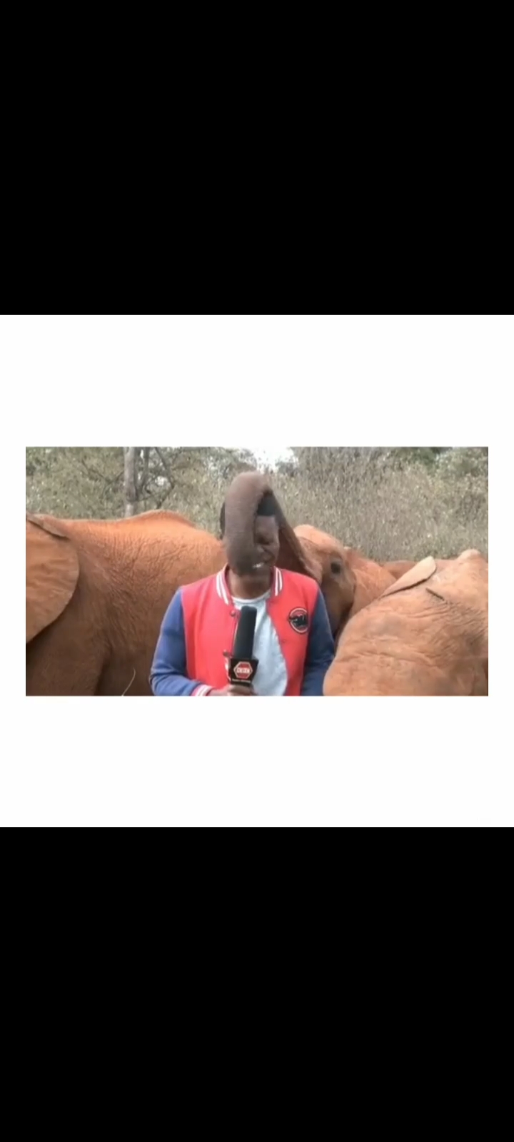 Published from Blogger Prime Android App