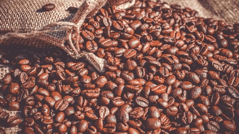 Image of Coffee Arabica CO2 Oil A Powerful Extract for Beauty Brands