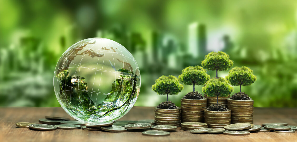 Blended Finance: Unlocking Capital for Climate Resilience