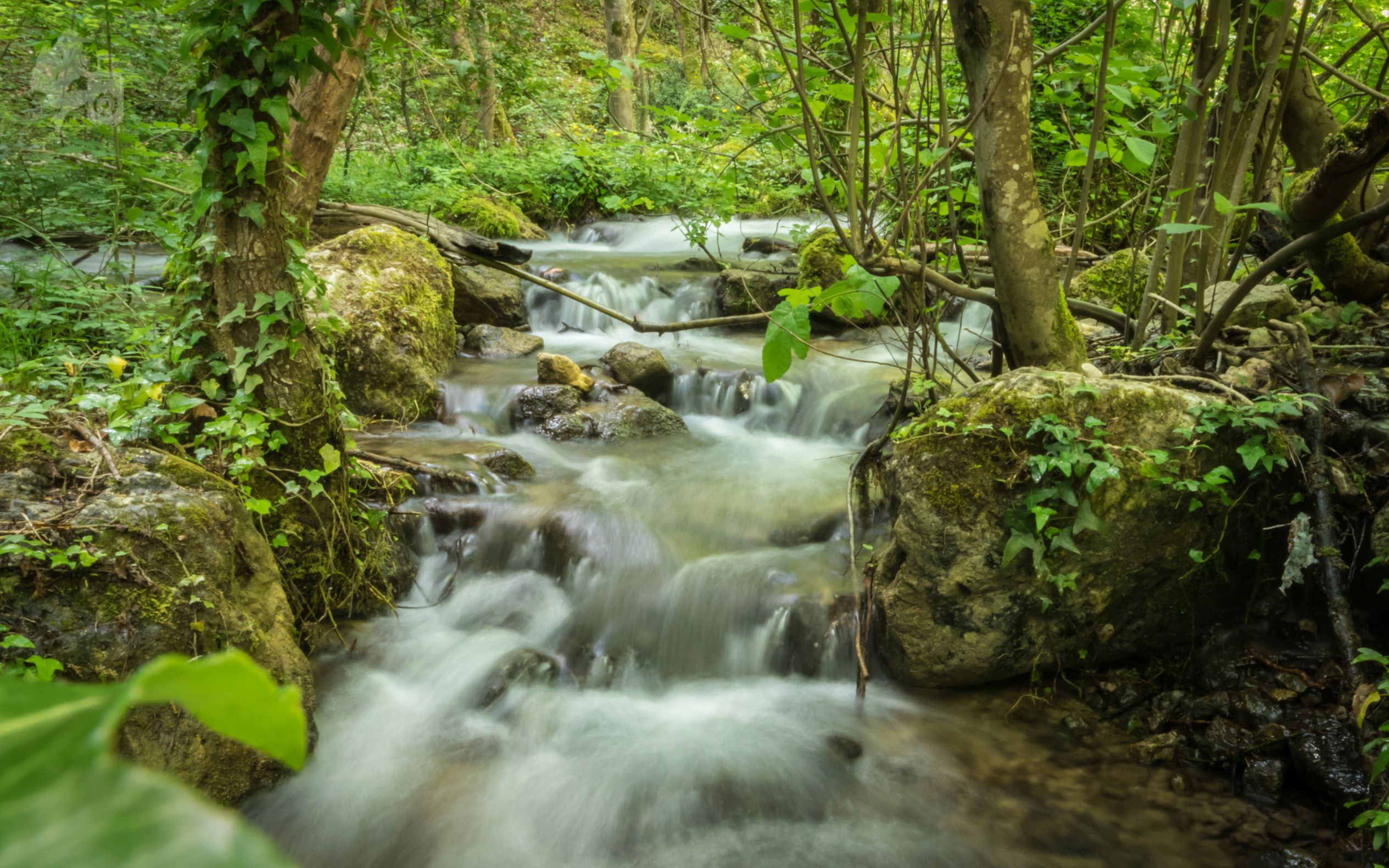 GOLE DEL SAGITTARIO: MERAVIGLIOSA OASI WWF