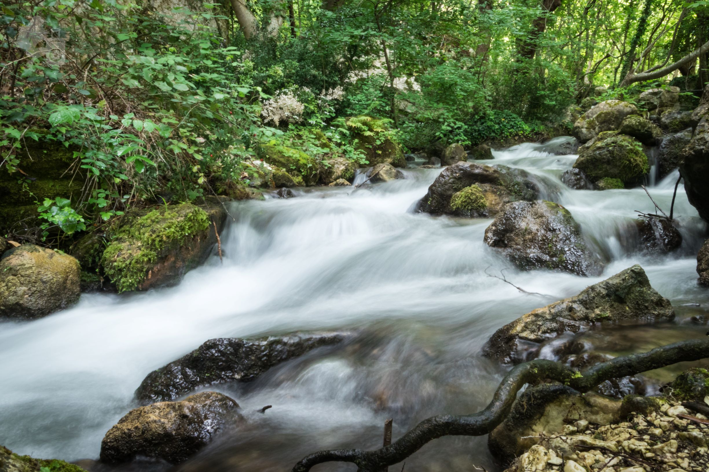 GOLE DEL SAGITTARIO: MERAVIGLIOSA OASI WWF