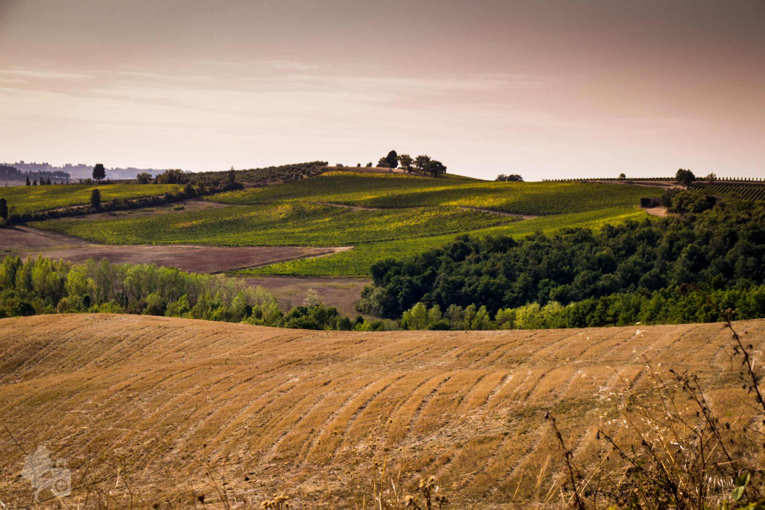 SAFARI NEL CHIANTI