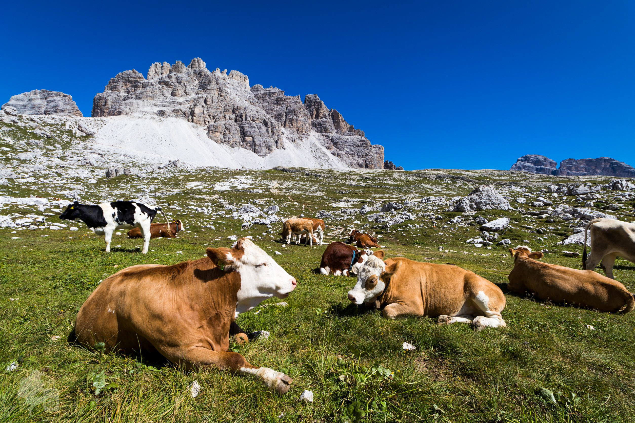 TRE CIME DI LAVAREDO